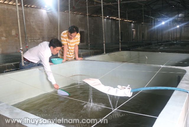 tom giong thich nghi moi truong